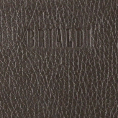 Мужской клатч с удобным внешним отделением Brialdi Atom (Атом) relief brown