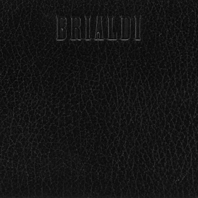 Универсальная сумка Fullerton (Фуллертон) relief black Brialdi