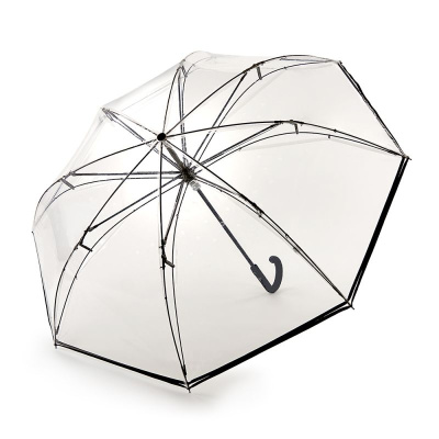 Зонт женский трость (Прозрачный) Fulton