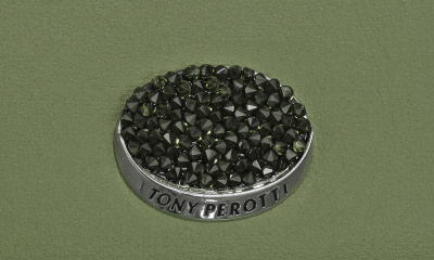 Футляр для очков, зелёный Tony Perotti