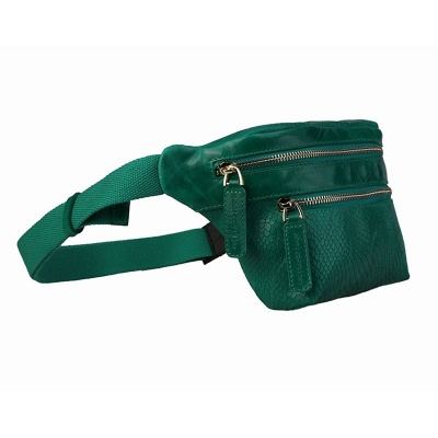 Женская сумка на пояс, зеленая Alexander TS