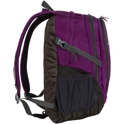 Городской рюкзак, фиолетовый Polar