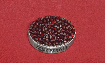Обложка для автодокументов, красная Tony Perotti