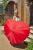 Зонт женский трость (Сердце) Fulton