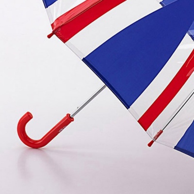Зонт детский (Флаг) Fulton